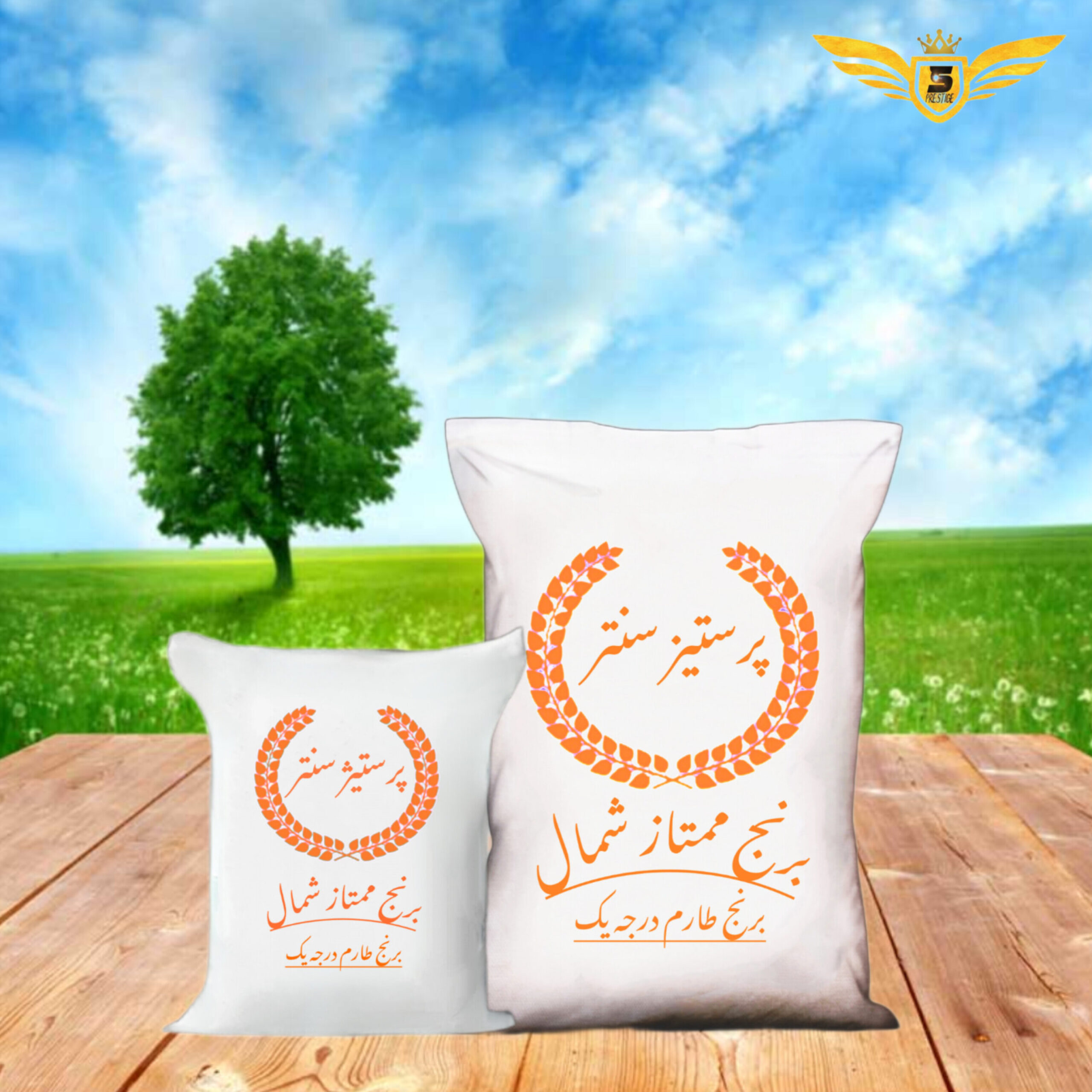 InShot_20241218_000241236